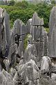 181 Kunming, stone forest